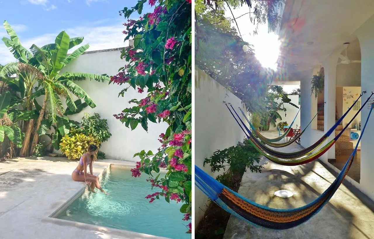 Hostel Humanity Puerto Morelos