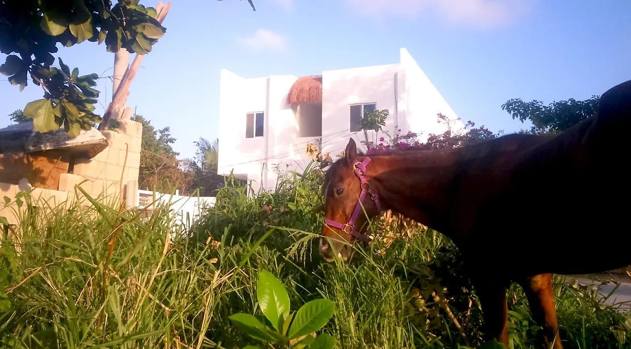 Hostel Humanity Puerto Morelos 0*,