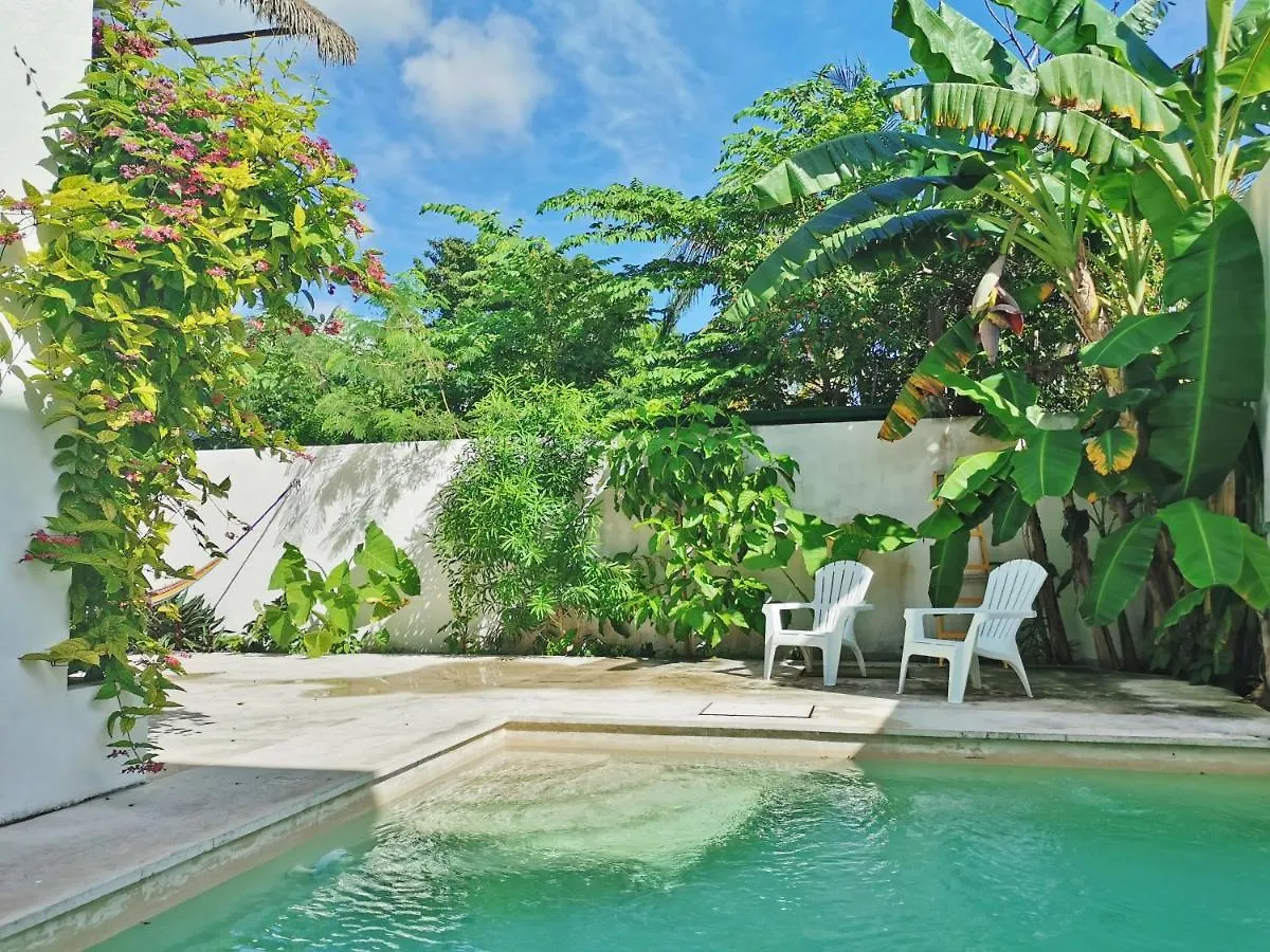 Hostel Humanity Puerto Morelos