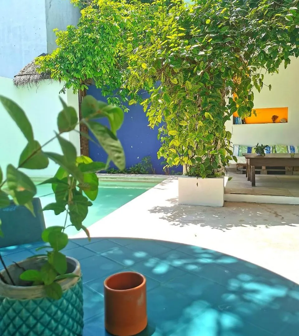 Hostel Humanity Puerto Morelos 0*,  Mexico